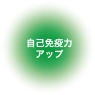 ���ȖƉu�̓A�b�v