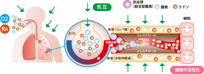 ���C�� ���h���`�����o�[�̂�����