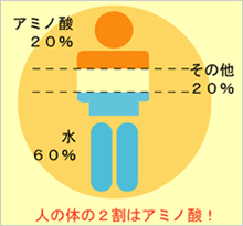 �l�̑̂̂Q���̓A�~�m�_�I